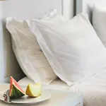 빌라 Urania Luxury 바실리키
